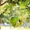 Glitzhome® 9" Metal Glossy Frog Outdoor Garden Birdhouse